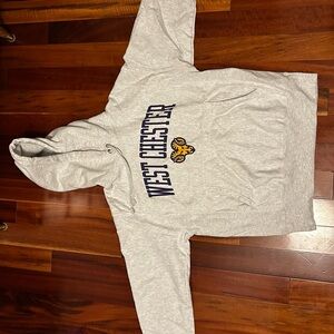 Champion Gray Hoodie with Purple and Yellow Logo
